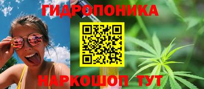 ECSTASY Пенза