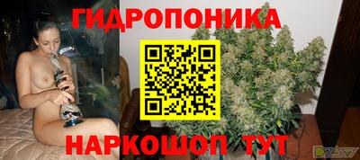 ALPHA-PVP Партизанск