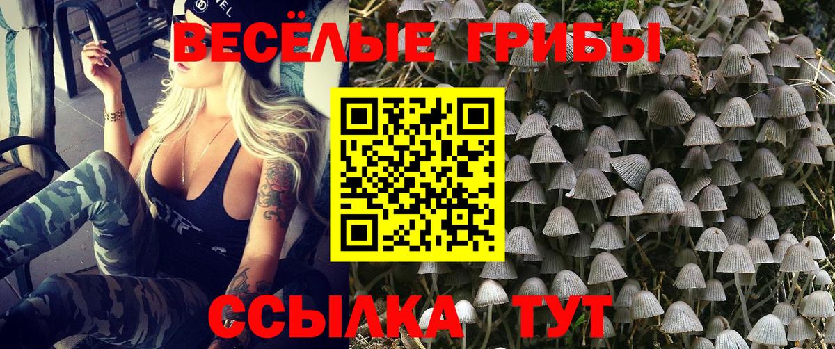 Галлюциногенные грибы прущие грибы Серов